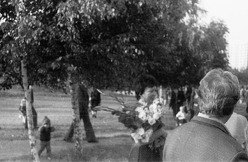 Image102.gif