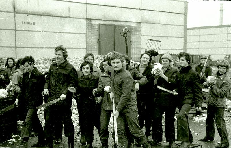 Image802.BMP