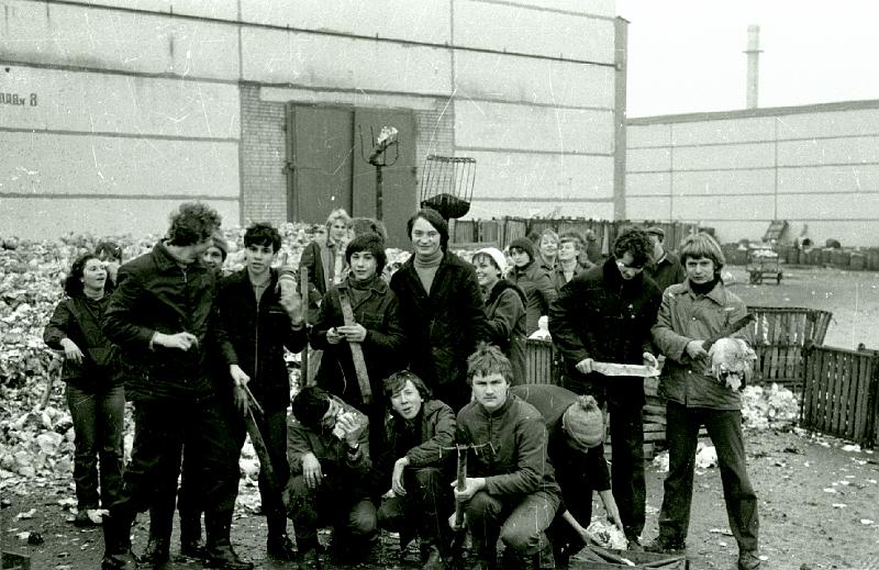 Image803.BMP