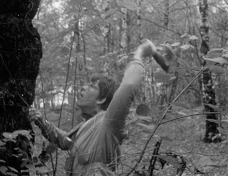 Image1204.gif