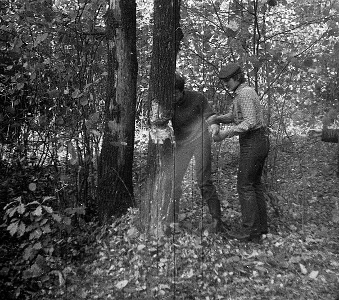 Image1804.gif