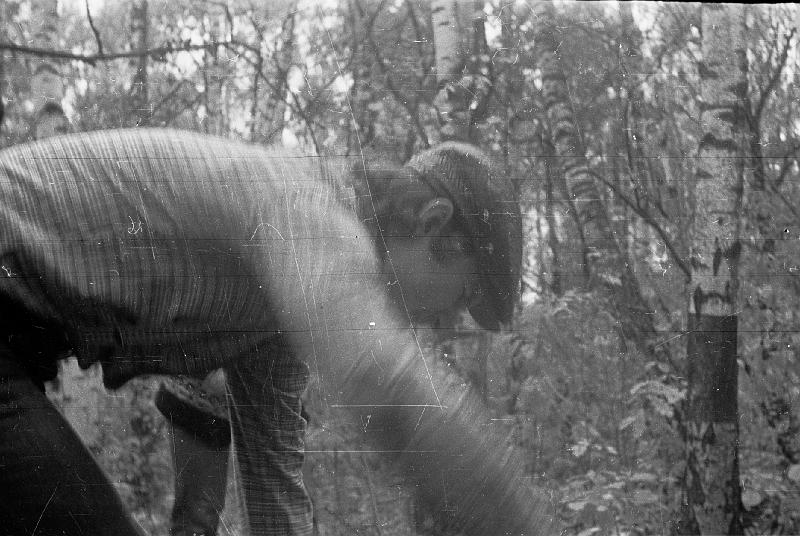 Image1903.gif