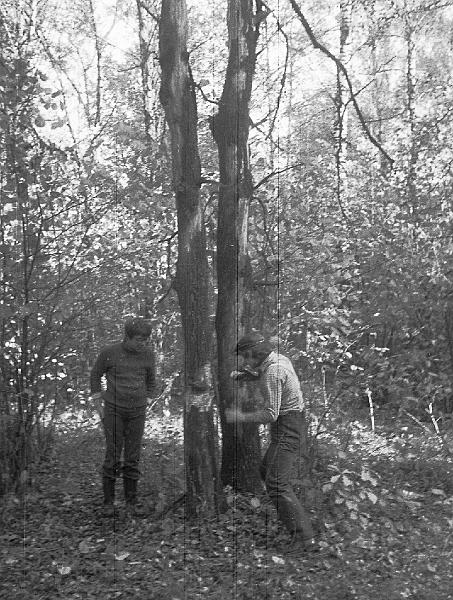 Image2002.gif