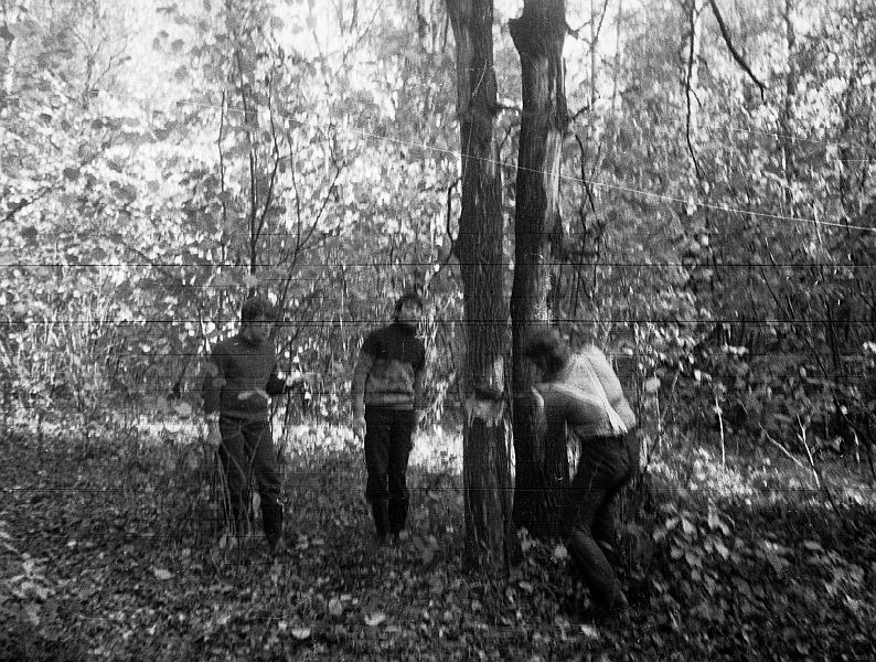 Image2003.gif