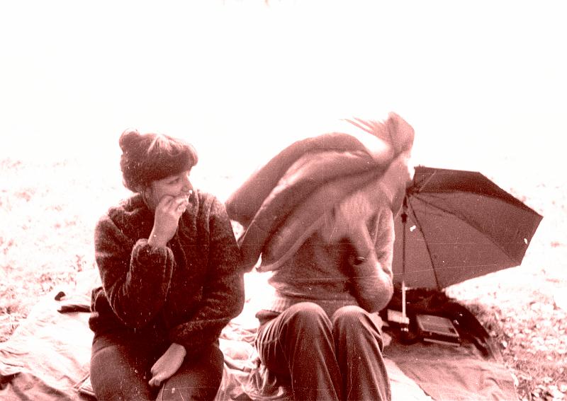 Image1706.BMP