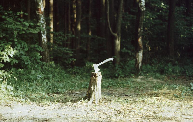Image2008.BMP